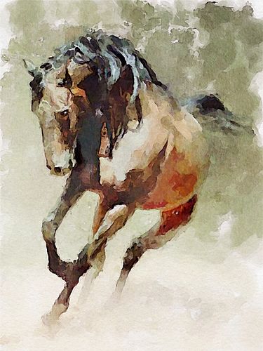 375x500 Horse 003 Horse Artwork Horse, Horse Art And - Watercolor Horse