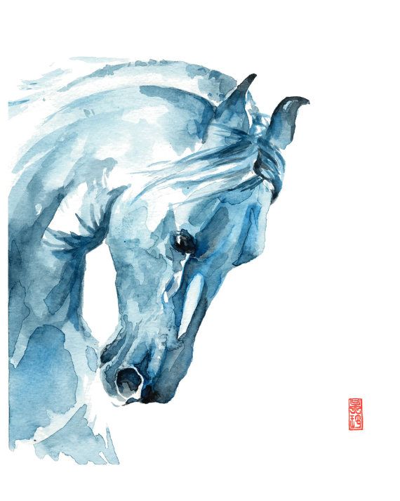 570x713 White Horse Watercolor Fine Art Giclee Print Animal Painting - Watercolor Horse