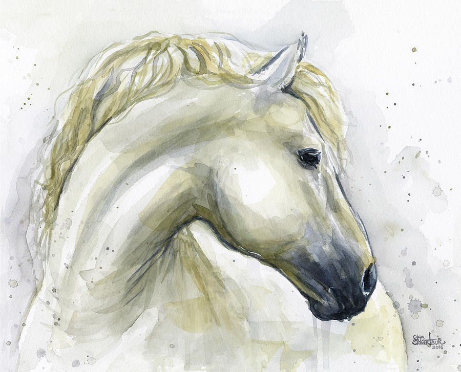 900x727 White Horse Watercolor Painting By Olga Shvartsur - Watercolor Horse