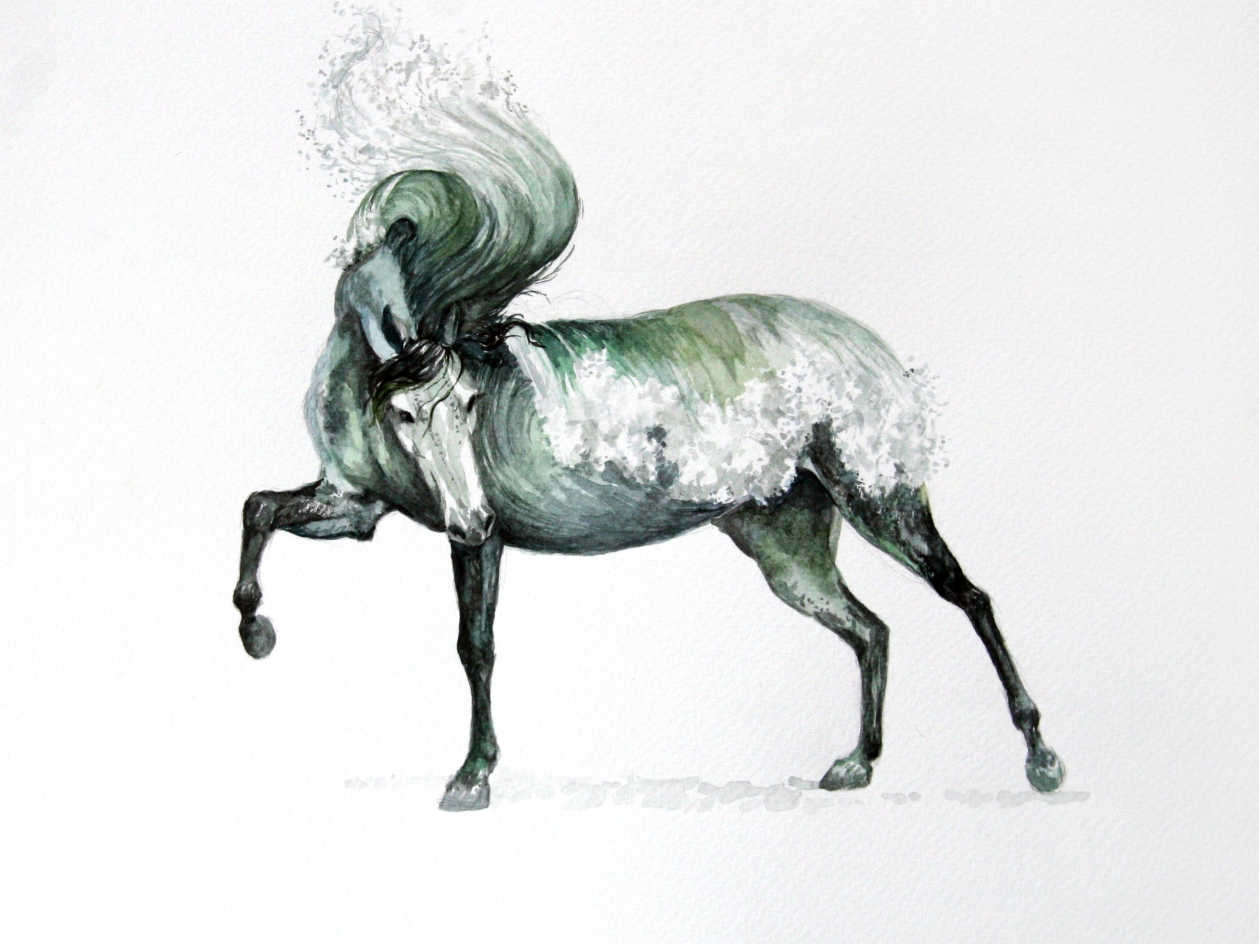 2467x1850 Cresting Wave Horse, Watercolor, 9x12 - Watercolor Horse