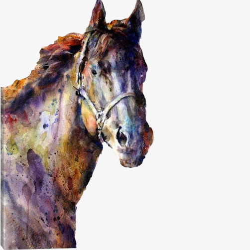 502x502 Horse Watercolor Picture Material, Horse, Steed, Horse Head Png - Watercolor Horse Head