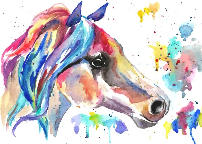 700x499 Horse Head. Color Watercolor Illustration. Hand Drawn Sticker - Watercolor Horse Head