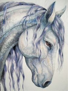225x300 Painting Watercolour Horse 100% Cotton Canvas Quality Print Wall - Watercolor Horse Head