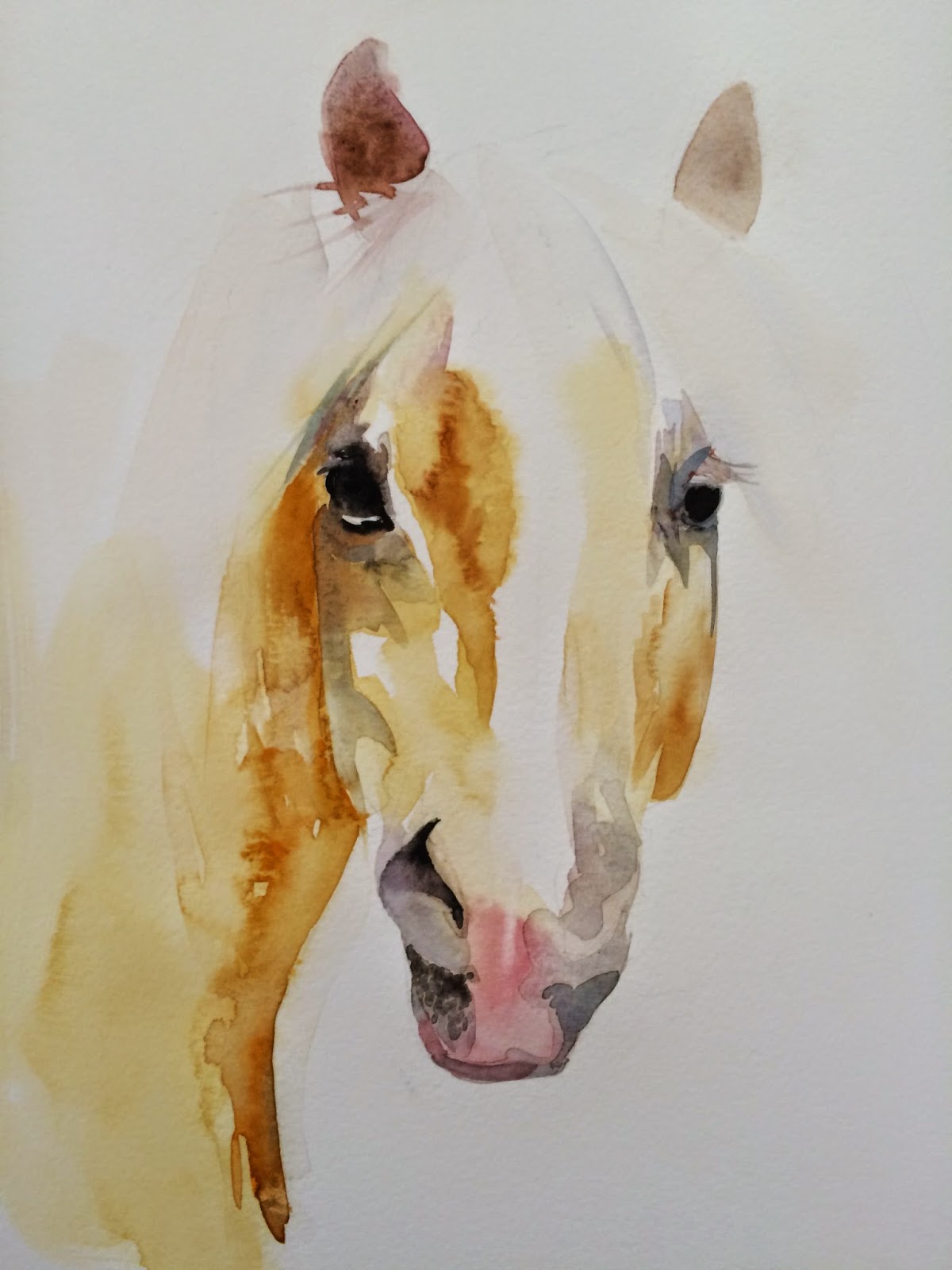 1200x1600 Steps Of Watercolor Horse Head - Watercolor Horse Head