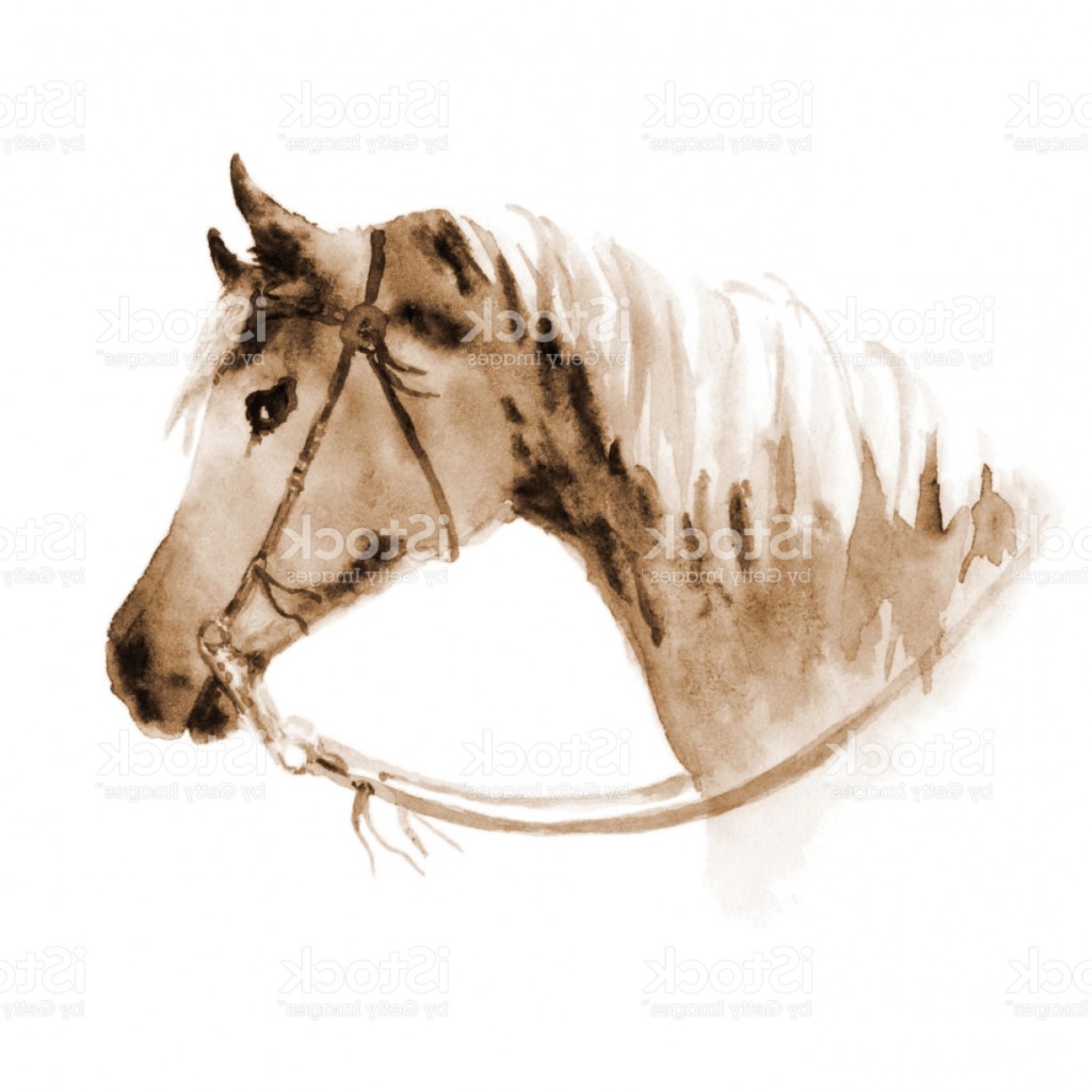 1228x1228 Watercolor Sepia Cowboy Western Horse Head With Bridle Gm Orangiausa - Watercolor Horse Head
