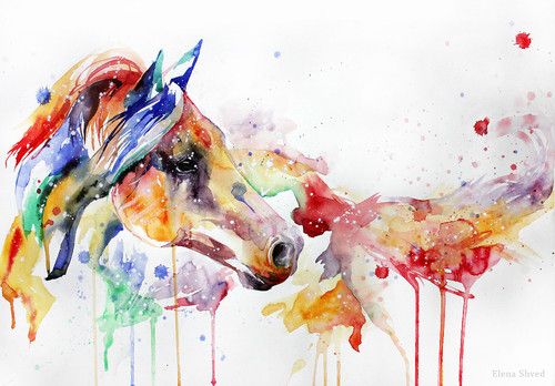 500x348 Watercolor Horse Head Watercolor Watercolor Horse - Watercolor Horse Head