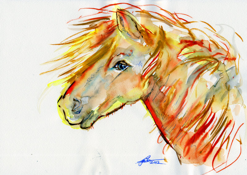 Watercolor Horse Head at Explore collection of