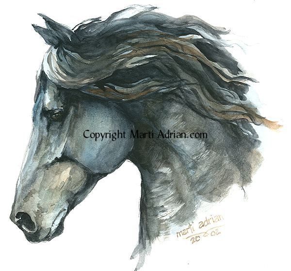 600x558 Watercolor Horse Artist Watercolour Horse Head Painting - Watercolor Horse Head