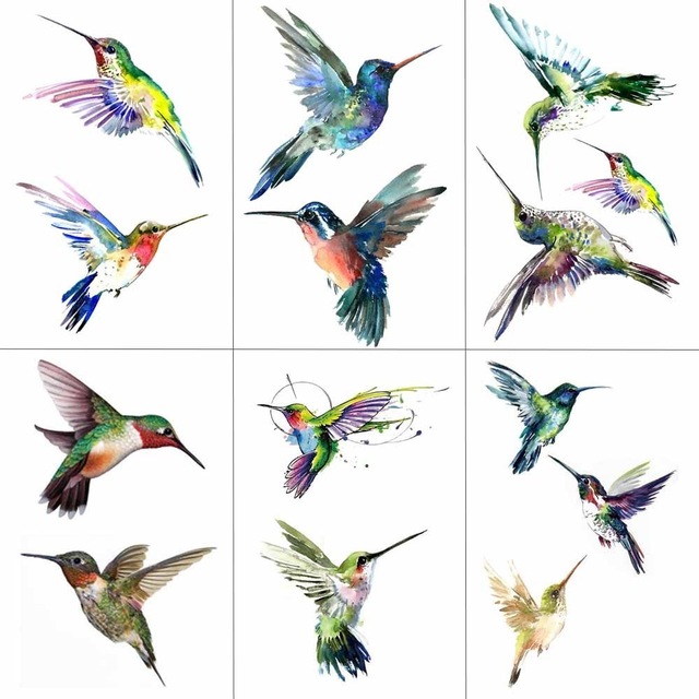 640x640 Buy Tcool Watercolor Hummingbird Temporary Fake - Watercolor Hummingbird