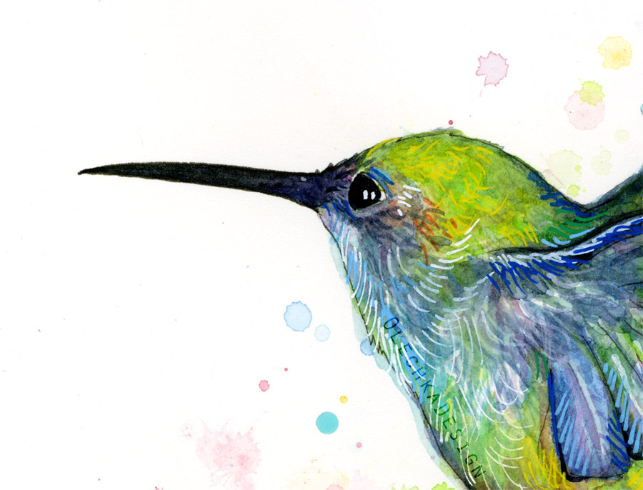 900x686 Hummingbird Watercolor Olechka Design - Watercolor Hummingbird