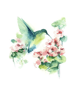 270x300 Hummingbird Watercolor Paintings Fine Art America - Watercolor Hummingbird