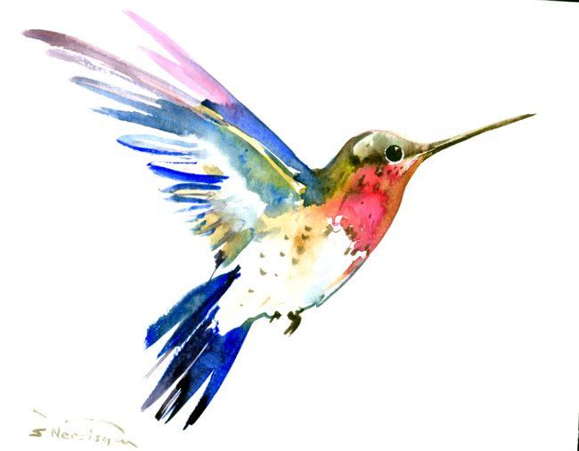 650x507 Hummingbird Flying, Original Watercolor Painting 10 X 8 In - Watercolor Hummingbird