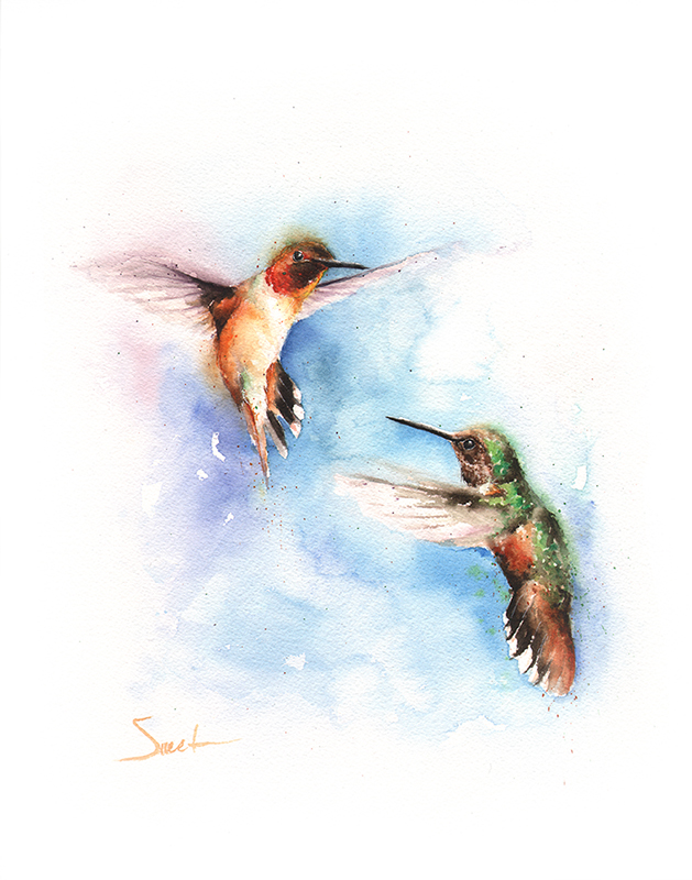629x800 Rufous Hummingbird Watercolor Print Watercolor Animal Paintings - Watercolor Hummingbird