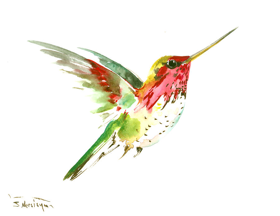 900x695 Flying Hummingbird Painting By Suren Nersisyan - Watercolor Hummingbird