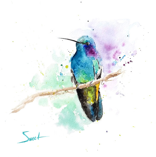 525x528 Green Violetear Hummingbird Watercolor Print Watercolor Animal - Watercolor Hummingbird