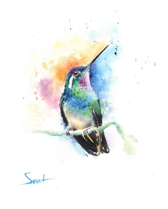 570x711 Hummingbird Print Watercolor Hummingbird Wall Art Etsy - Watercolor Hummingbird