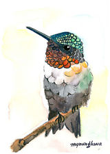 160x225 Hummingbird Art Ebay - Watercolor Hummingbird Art