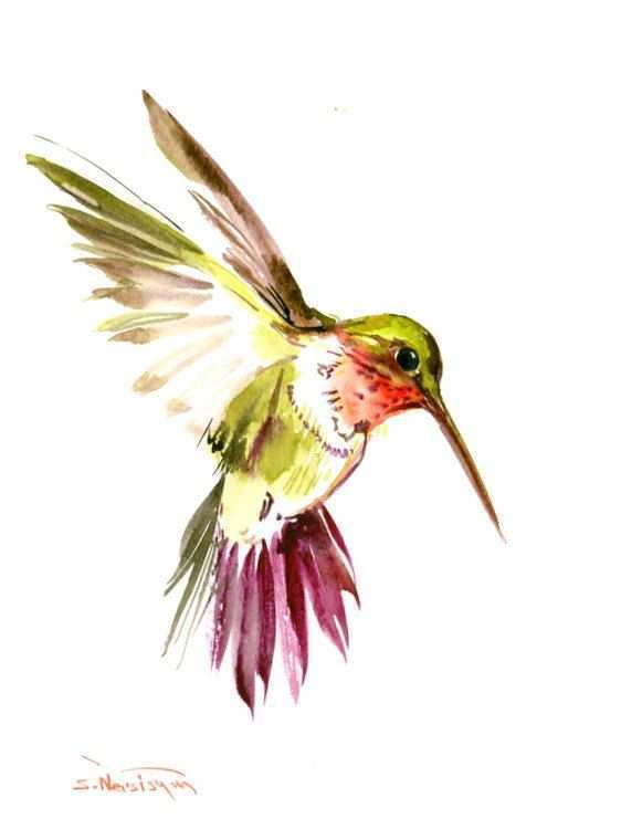 562x750 Hummingbird Painting Elegant Hummingbird Art Original Watercolor - Watercolor Hummingbird Art