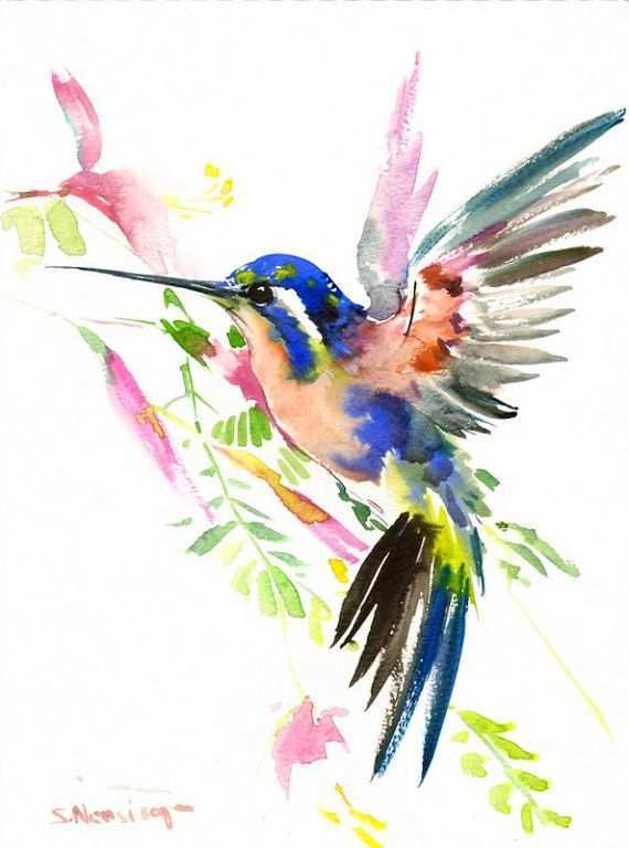 570x768 Hummingbird Painting New Bird Painting Hummingbird Original - Watercolor Hummingbird Art