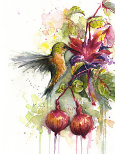 225x300 Hummingbird Watercolor Paintings Fine Art America - Watercolor Hummingbird Art