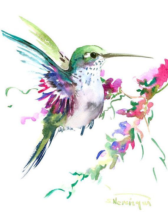 570x721 Hummingbird Art Original Watercolor Painting 8 X Painting - Watercolor Hummingbird Art