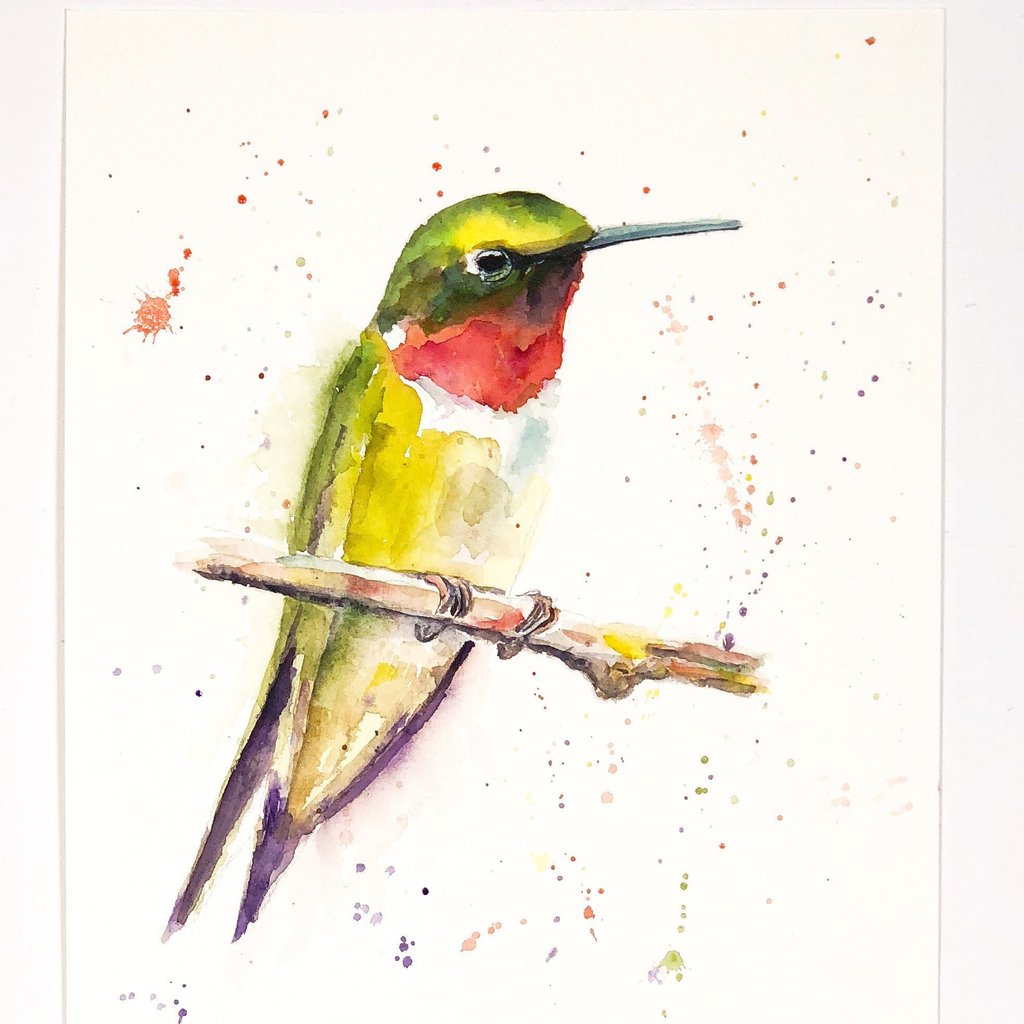 1024x1024 Watercolor Hummingbird , Watercolour, Bird Art, Artist Gift, Bird - Watercolor Hummingbird Art