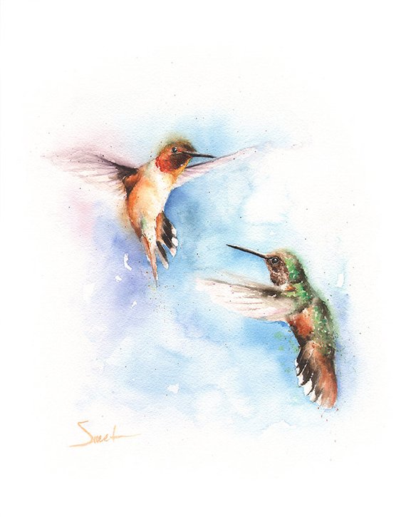 570x725 Hummingbird Decor Hummingbird Art Watercolor Hummingbird Etsy - Watercolor Hummingbird Art