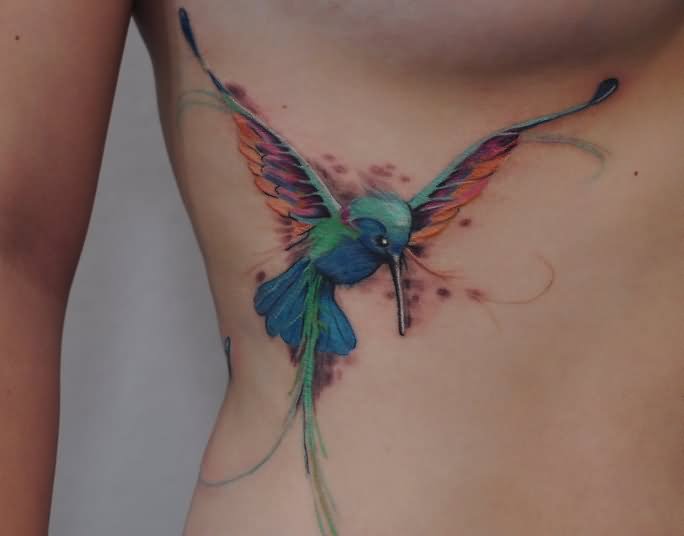 684x536 Nice Watercolor Hummingbird Tattoo On Rib Cage - Watercolor Hummingbird Tattoo