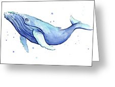 226x170 Humpback Whale Watercolor Painting By Olga Shvartsur - Watercolor Humpback Whale