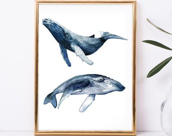 340x270 Watercolor Whale Etsy - Watercolor Humpback Whale