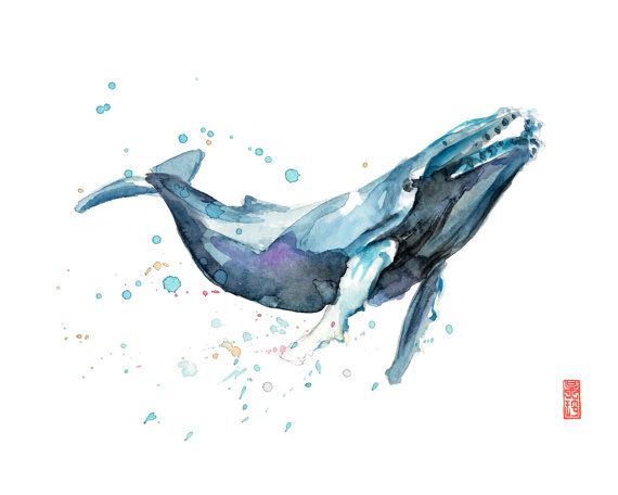 570x456 Whale Watercolor Fine Art Giclee Print Marine Mammal Painting - Watercolor Humpback Whale