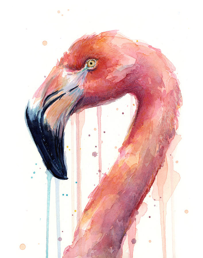 707x900 Flamingo Watercolor Illustration Painting By Olga Shvartsur - Watercolor Illustration