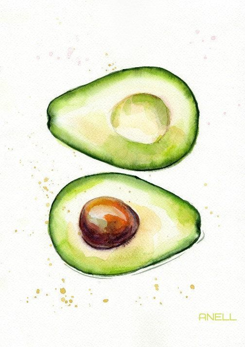 504x713 Set Of 4 Avocado Watercolor Print - Watercolor Illustration