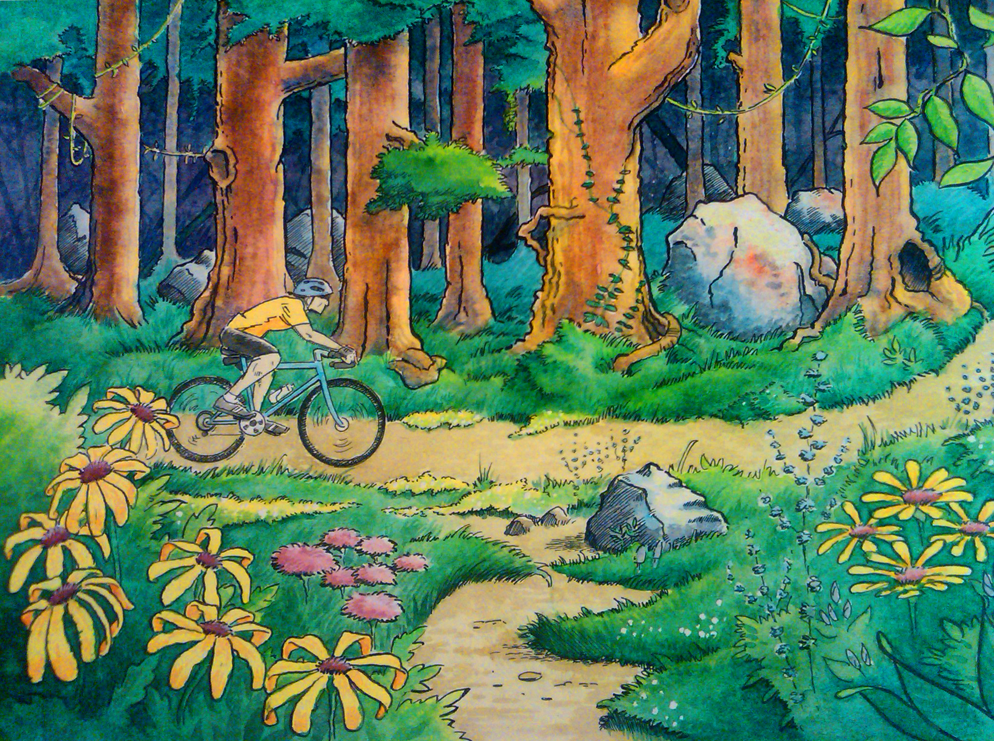 2028x1512 Watercolor Illustration - Watercolor Illustration