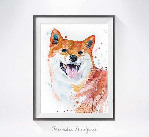 570x525 Original Watercolor - Watercolor Illustration Animals