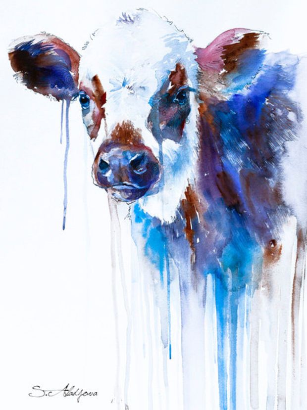 620x829 Cow Watercolor Painting Print, Animal, Illustration, Animal - Watercolor Illustration Animals