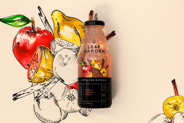 750x500 Leaf Garden Branding Ideas Using Illustrations In Watercolor And - Watercolor Illustration Techniques