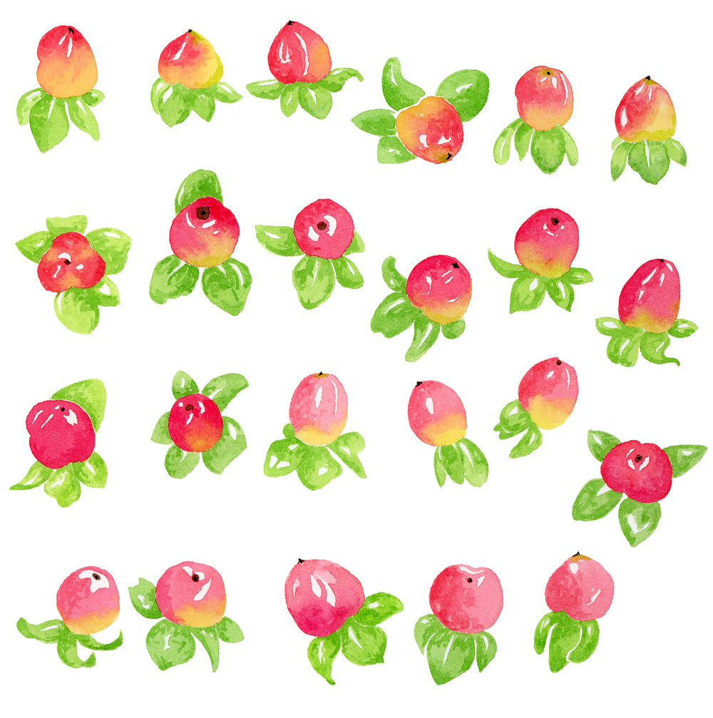 1000x1007 Vidican Illustration - Watercolor Illustrator