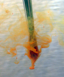 259x308 Watercolor Mediums And Additives Nifty Things That You Can Add To - Watercolor In Water