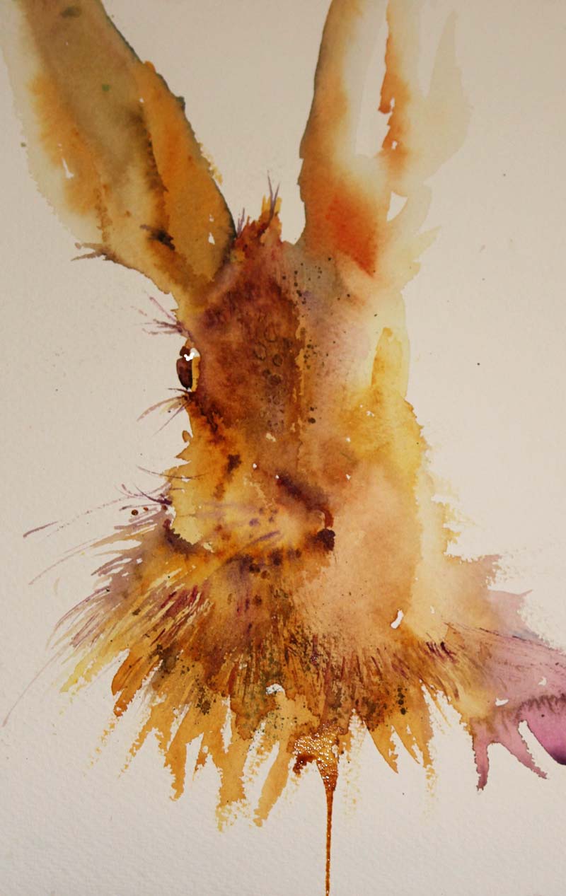 800x1267 Watercolours With Life All Ears 20182019 Usa Workshop Information - Watercolor Information