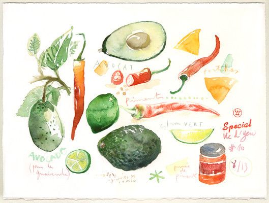 529x400 Guacamole Ingredients My Vegetable Illustrations - Watercolor Ingredients