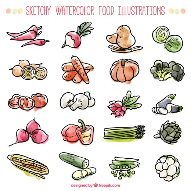 626x626 Sketches Watercolor Ingredients Vector Free Download - Watercolor Ingredients
