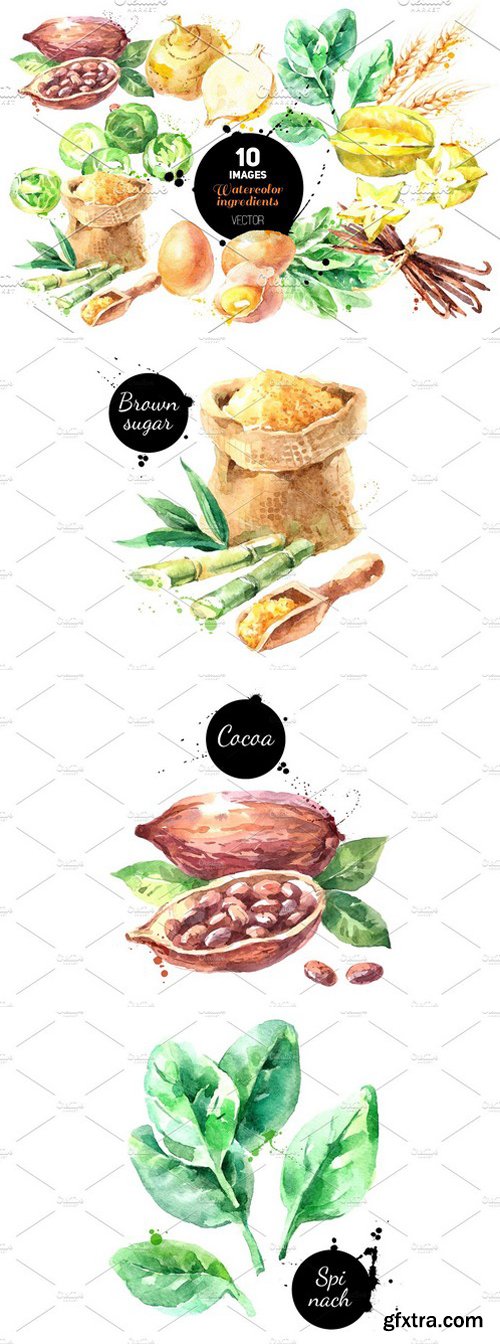 500x1344 Cm - Watercolor Ingredients