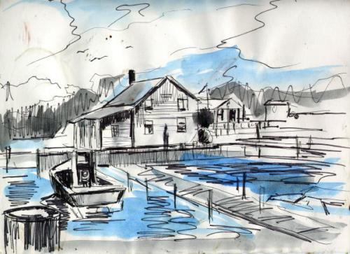 500x363 Ink Drawing With Watercolor Wash! - Watercolor Ink