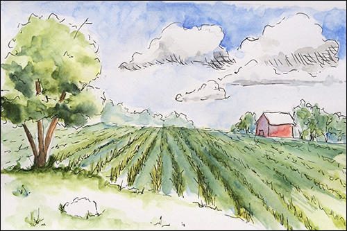 500x333 Learning How To Draw Expressive Lines In Pen, Ink Amp Watercolor - Watercolor Ink Pen