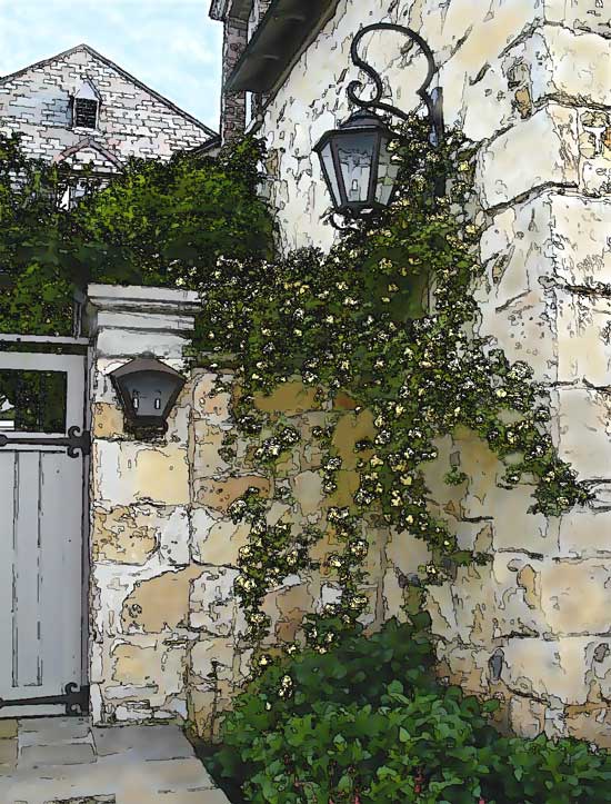 550x723 Pen And Inkwatercolor Tutorial Photo - Watercolor Ink Pen