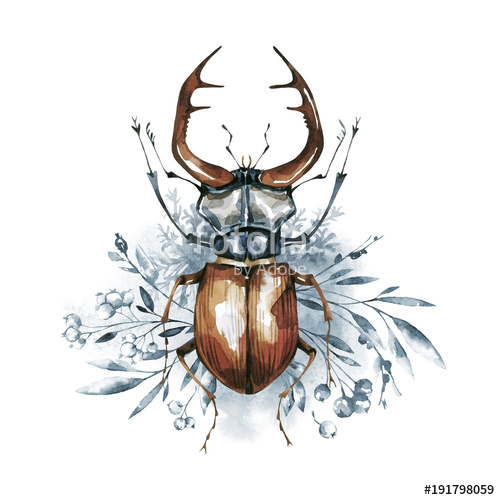 500x500 Watercolor Beetle With Horns On A Floral Background. Animal - Watercolor Insects