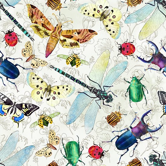 550x550 Watercolor Insects Posters By Gaia Marfurt Redbubble - Watercolor Insects