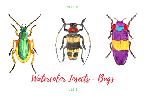 500x333 Watercolor Insects With Bugs Vector 02 - Watercolor Insects