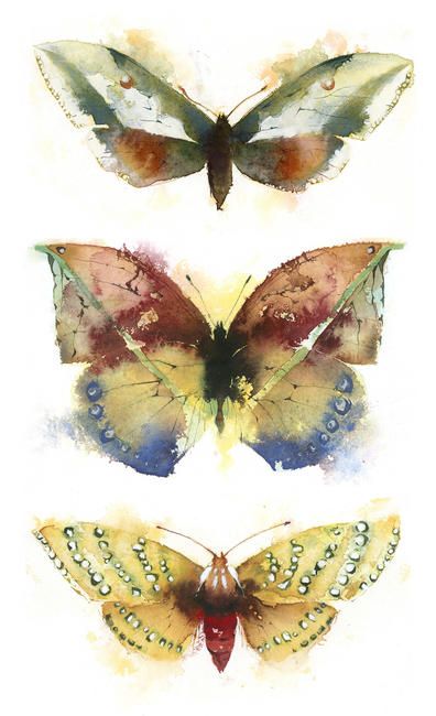 396x650 Artwork 364553 Watercolour - Watercolor Insects